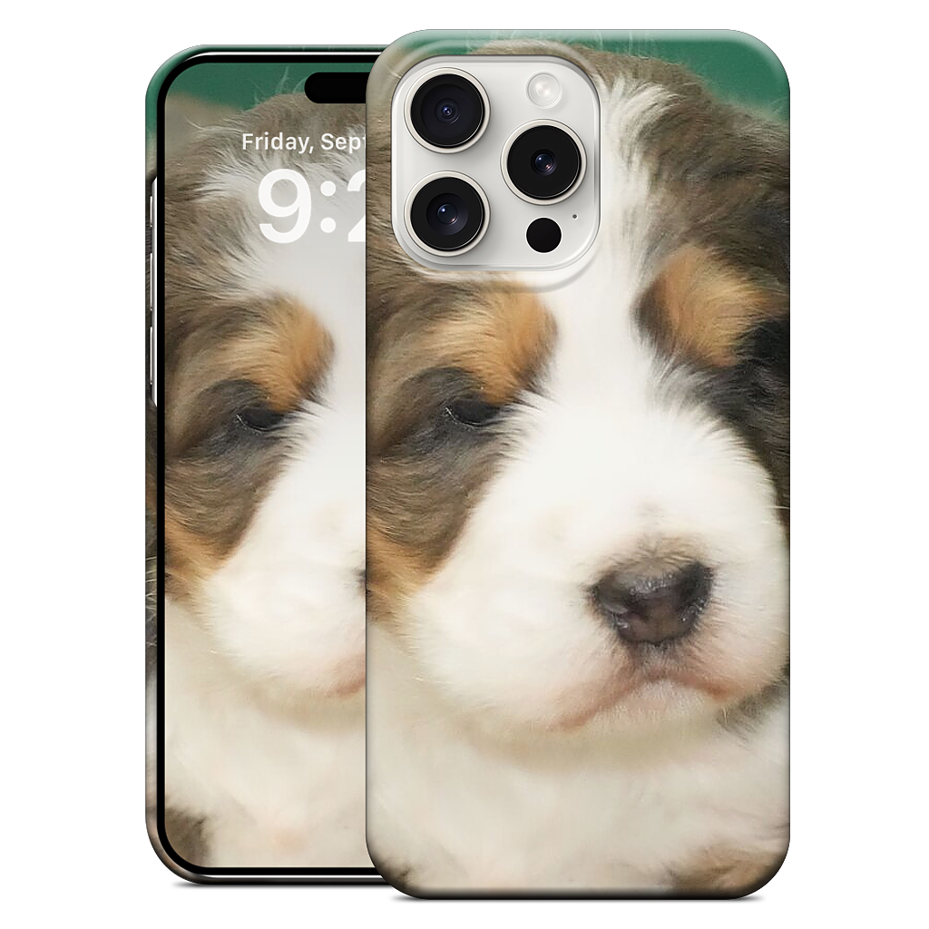 Custom iPhone Case - 03355284