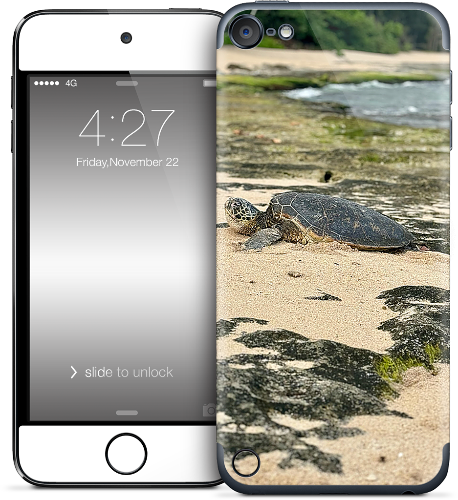 Custom iPod Skin - ce3063c8