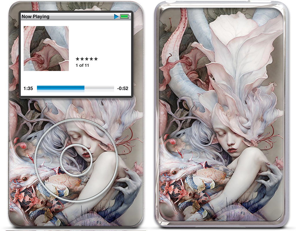 Custom iPod Skin - 22d9e3d4