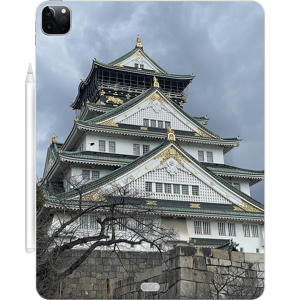 Custom iPad Skin - 0b43f6e8