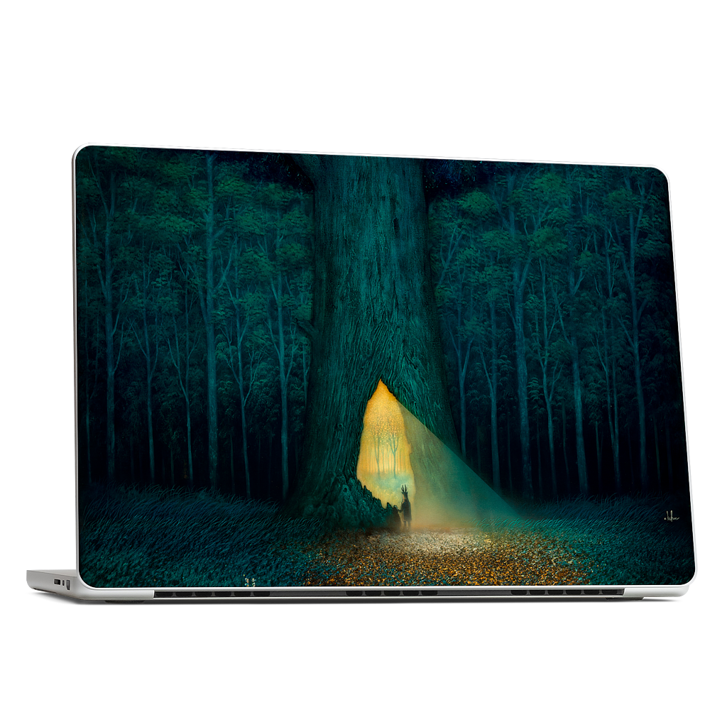 Beyond the Familiar MacBook Skin