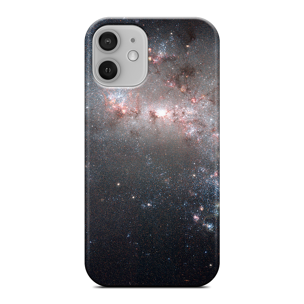 Caldwell 21 iPhone Case