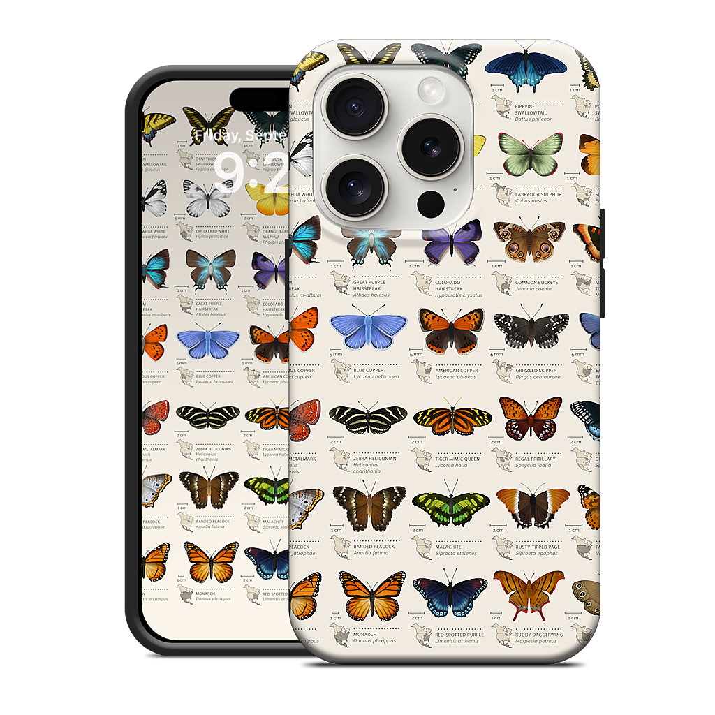 42 North American butterflies iPhone Case