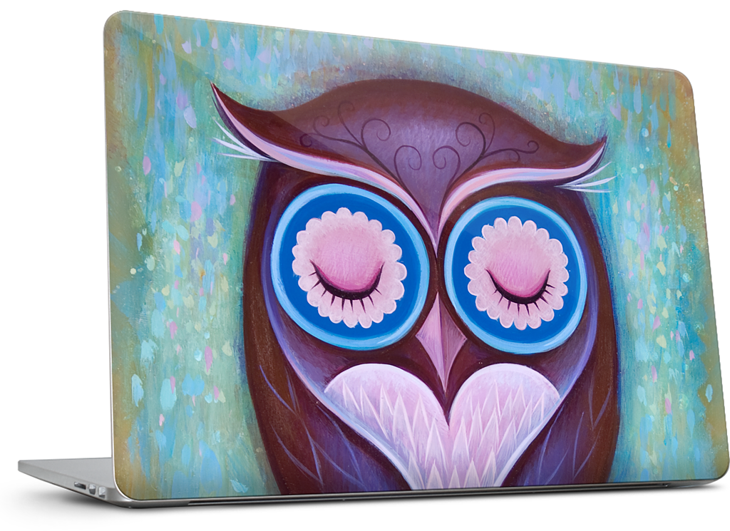 Sleepy Owl MacBook Skin