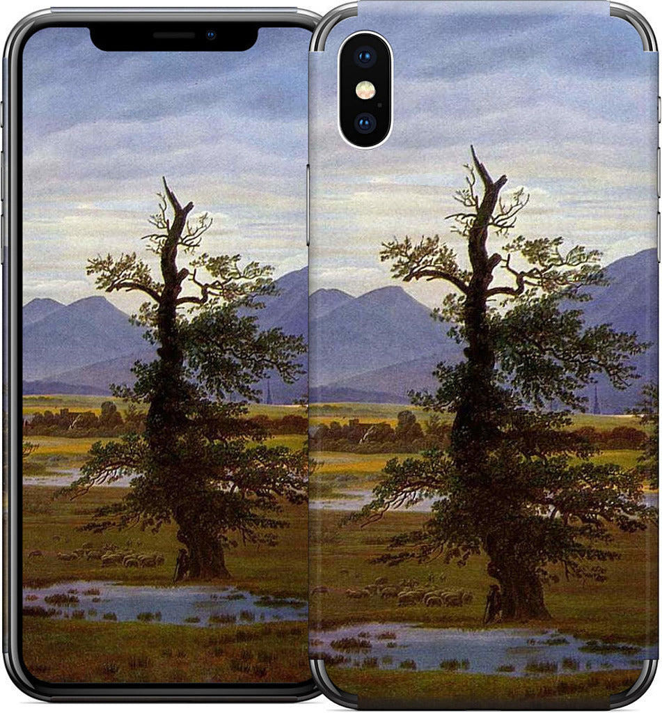 Lone Tree iPhone Skin