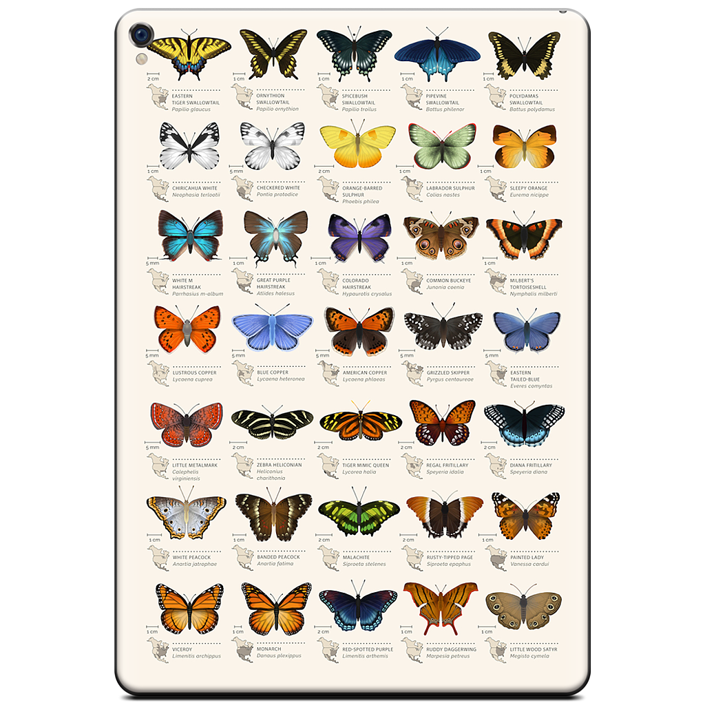 42 North American butterflies iPad Skin