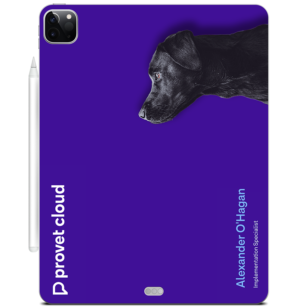 Custom iPad Skin - 615879cd