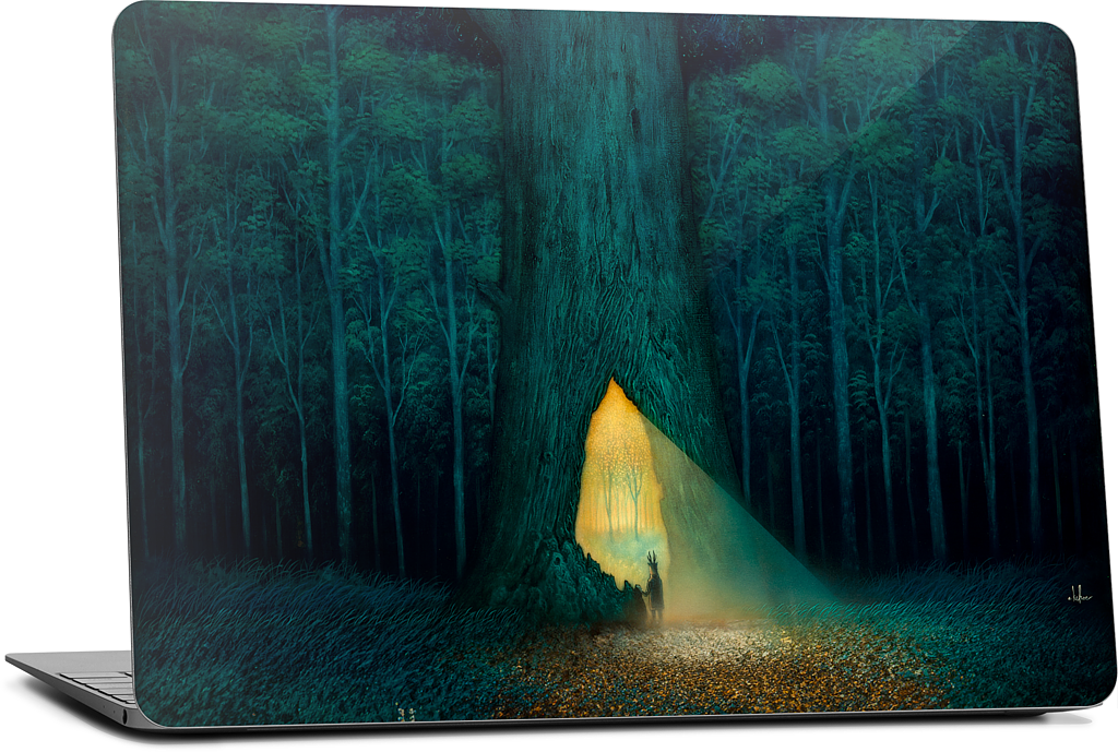 Beyond the Familiar MacBook Skin