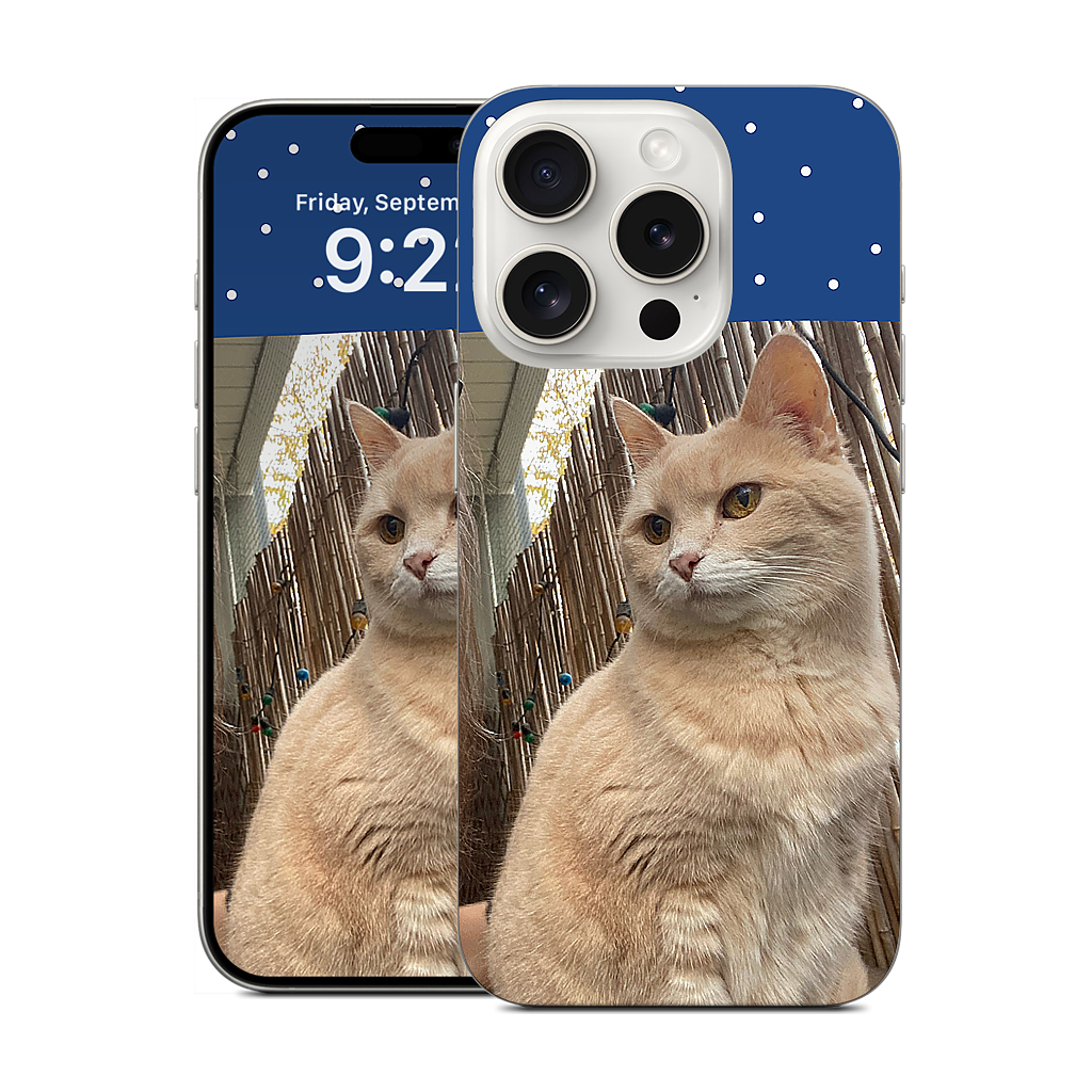 Custom iPhone Skin - 099d9408