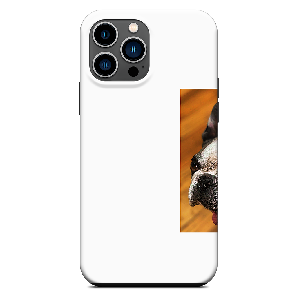 Custom iPhone Case - c29a33e5