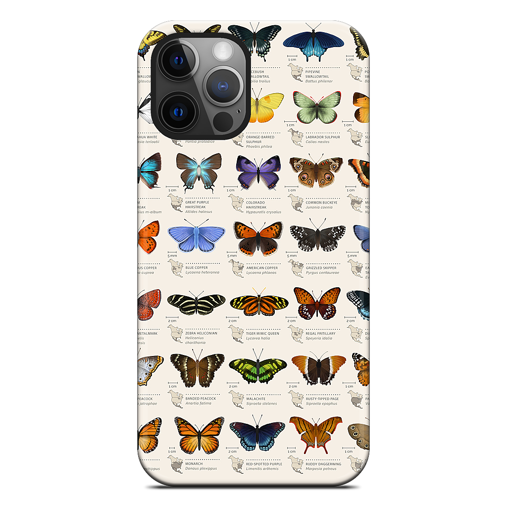 42 North American butterflies iPhone Case
