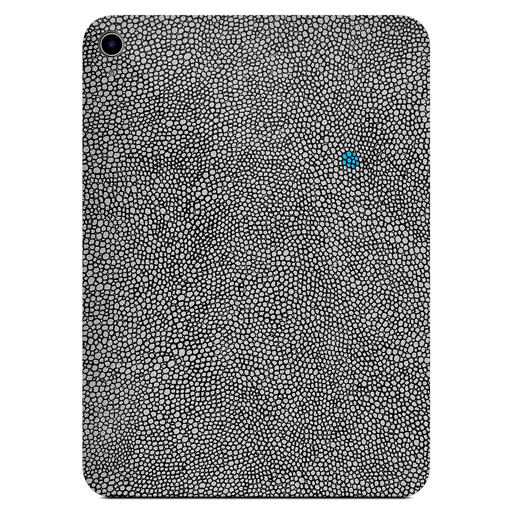 - cosmos 2 - iPad Skin