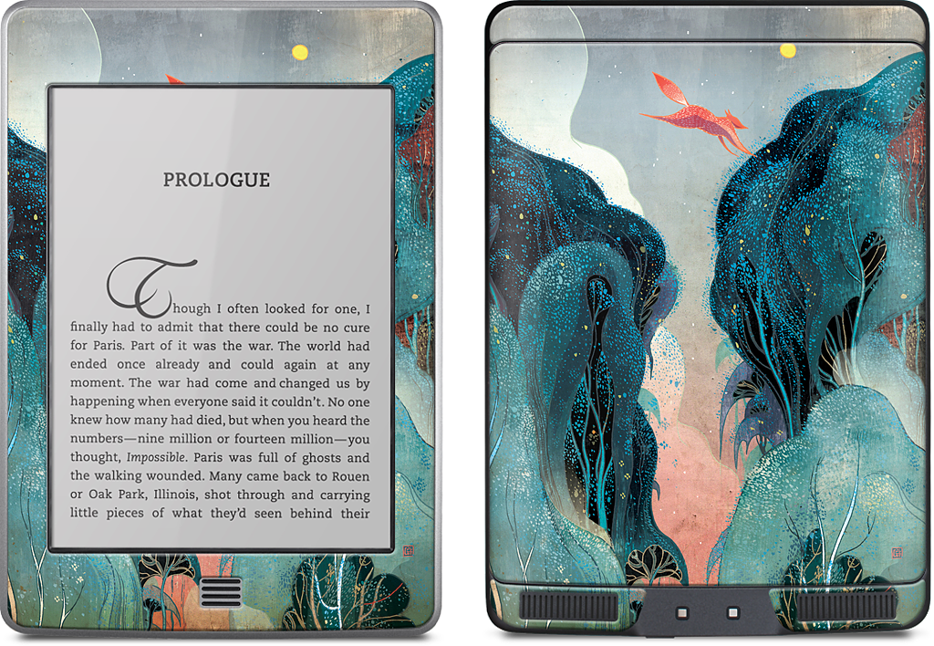 Leap Kindle Skin