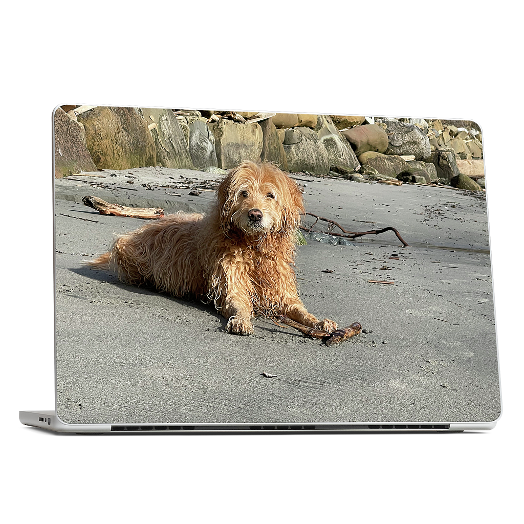 Custom MacBook Skin - 390a8052