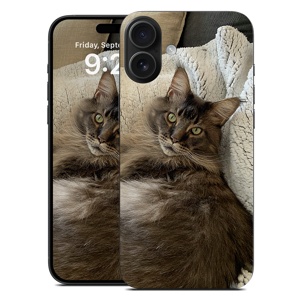 Custom iPhone Skin - 35920be1