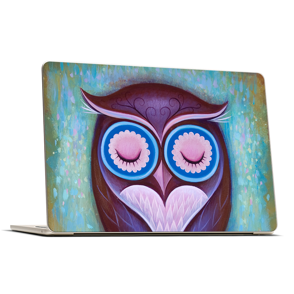 Sleepy Owl MacBook Skin