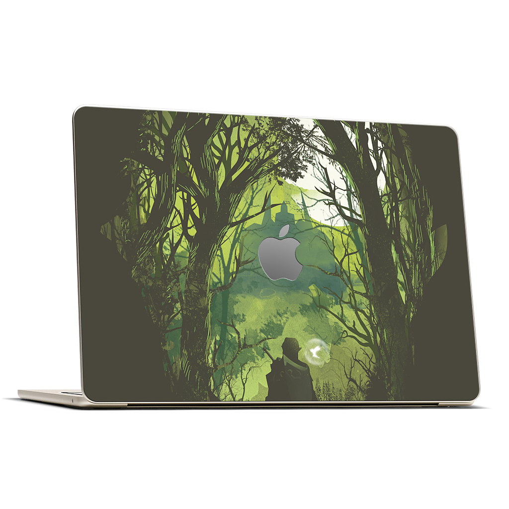 It's Dangerous to go Alone MacBook Skin