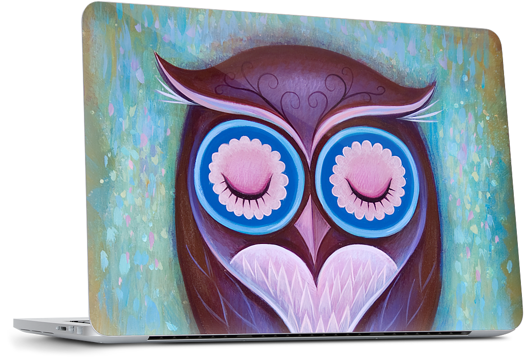 Sleepy Owl MacBook Skin