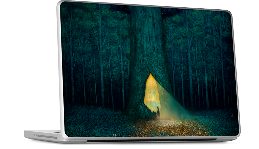 Beyond the Familiar MacBook Skin
