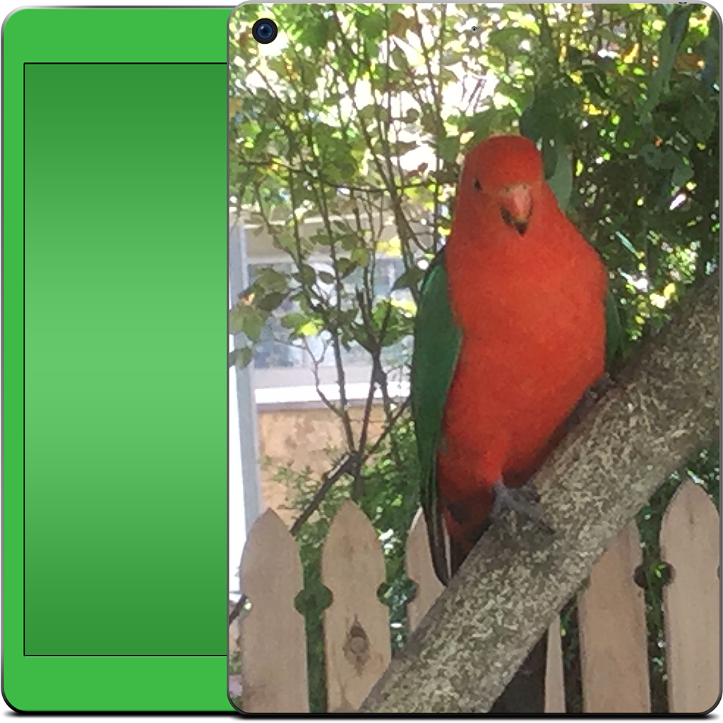 Custom iPad Skin - a2bc8978
