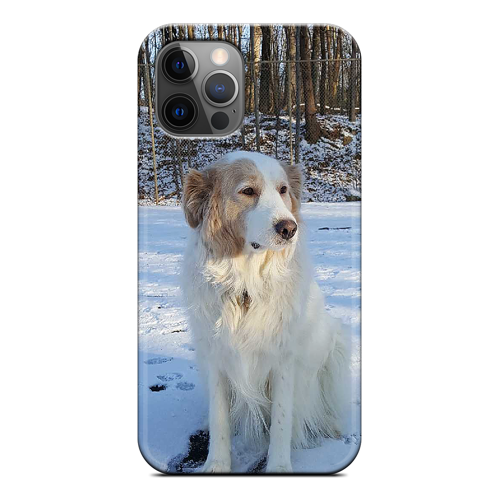 Custom iPhone Case - cc54f043