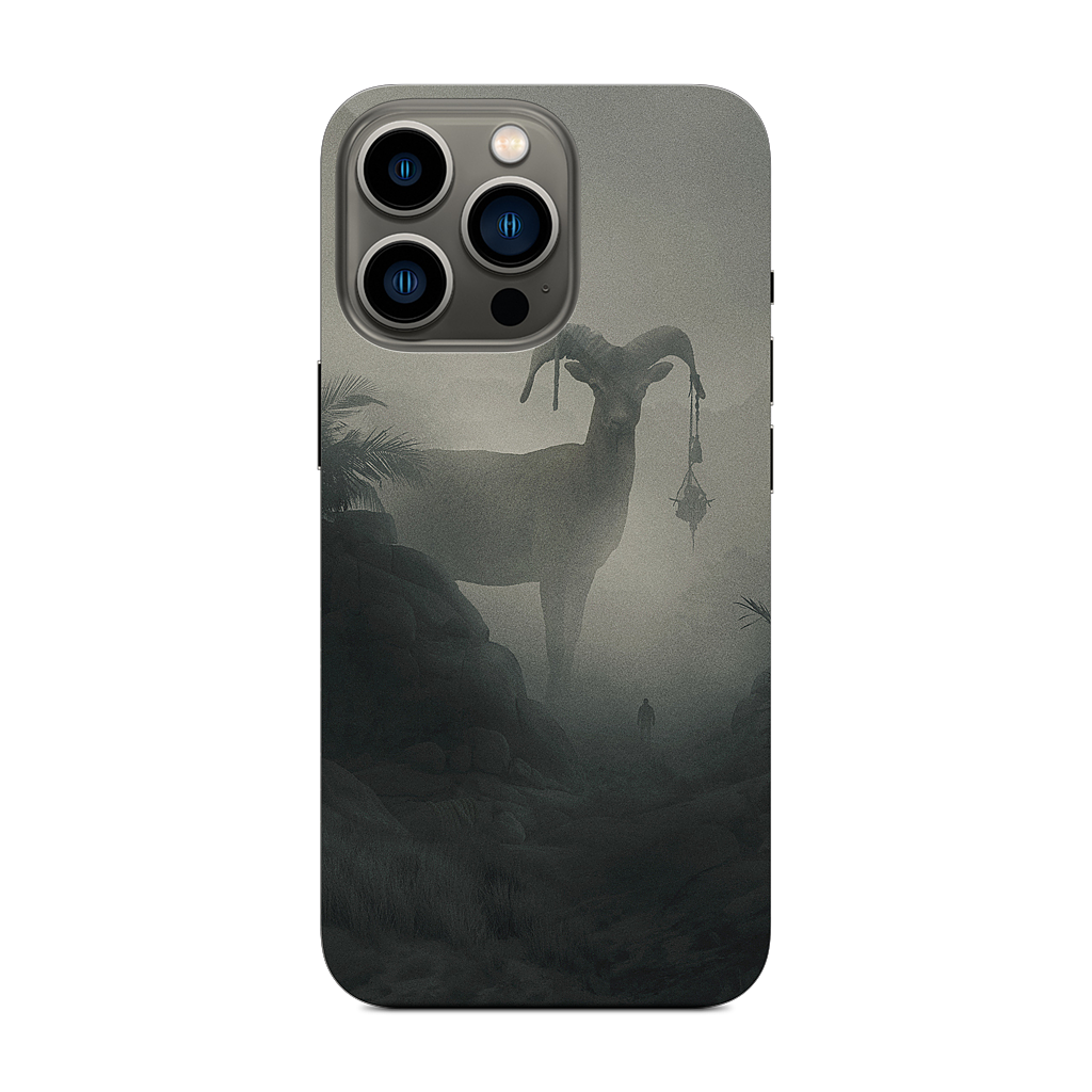 Right Road iPhone Skin