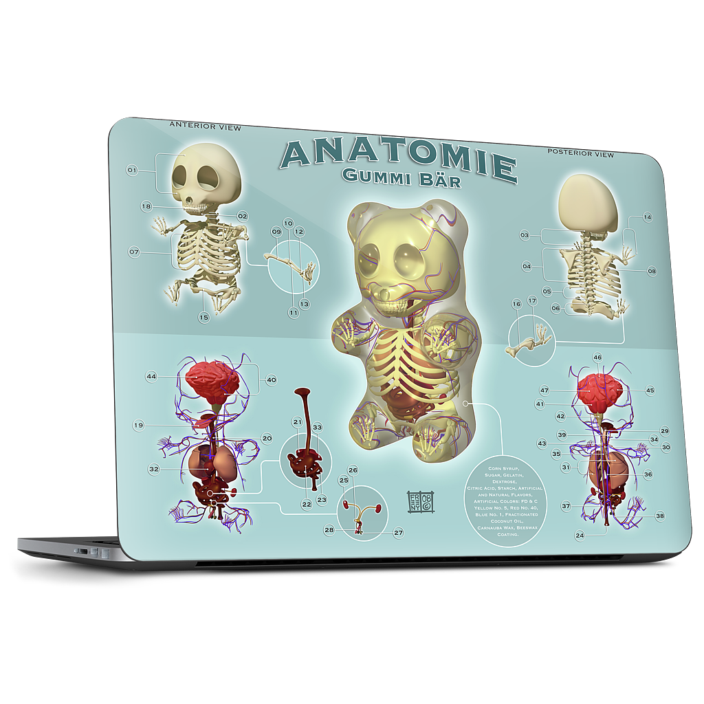 Gummi Anatomie Dell Laptop Skin