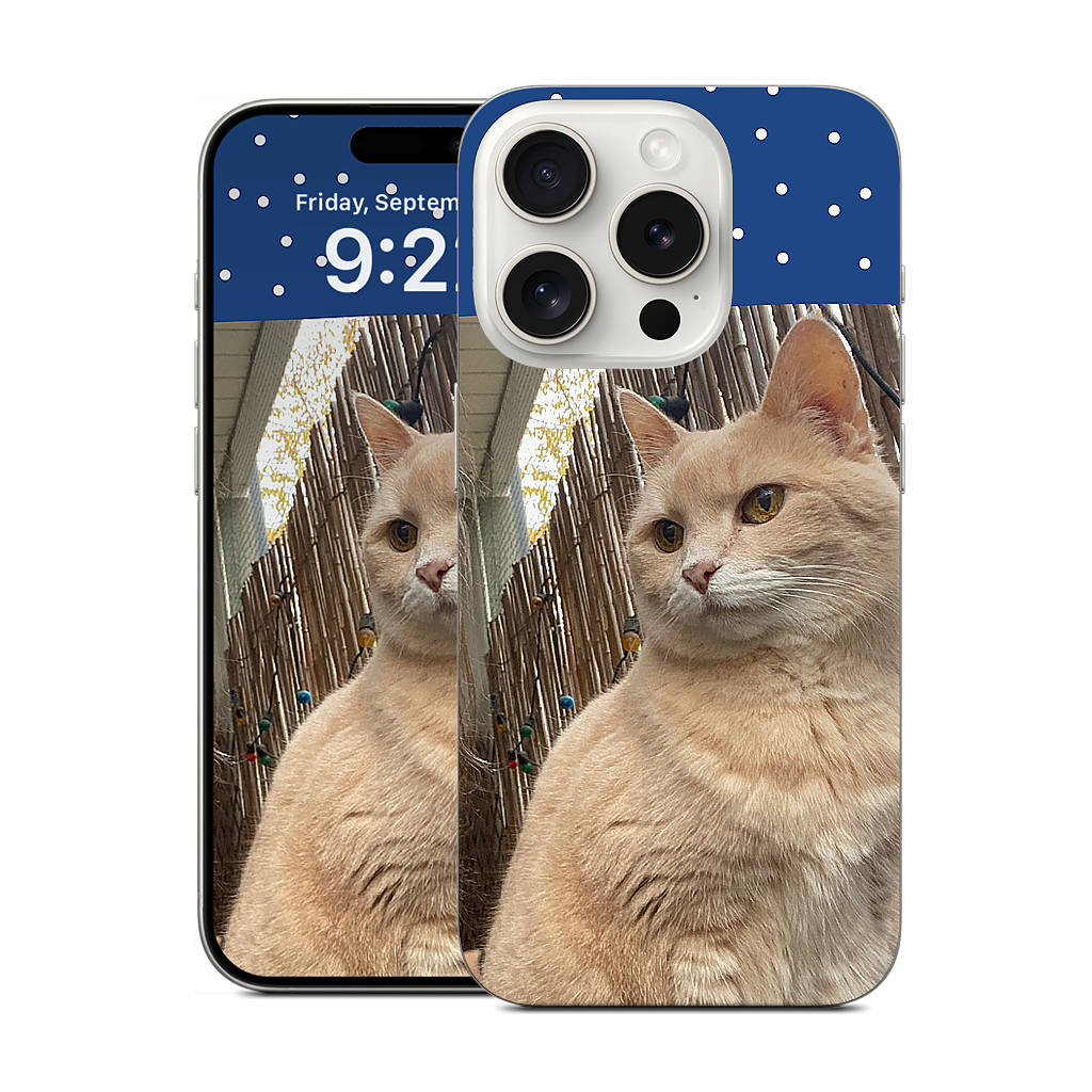 Custom iPhone Skin - fc932722
