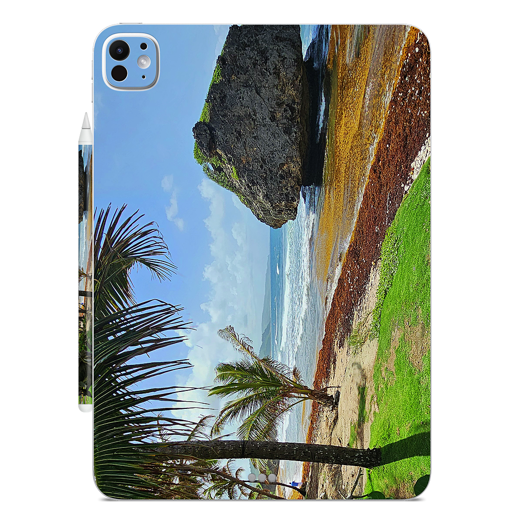 Custom iPad Skin - 3d824fcd