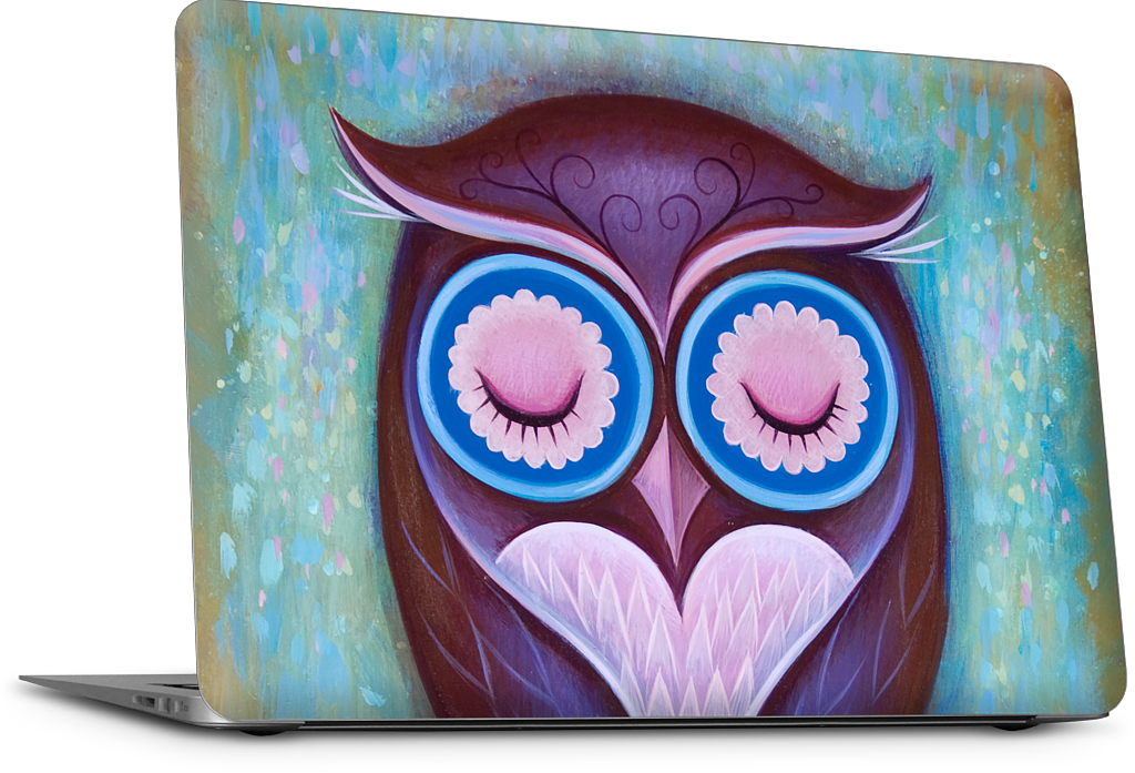 Sleepy Owl MacBook Skin