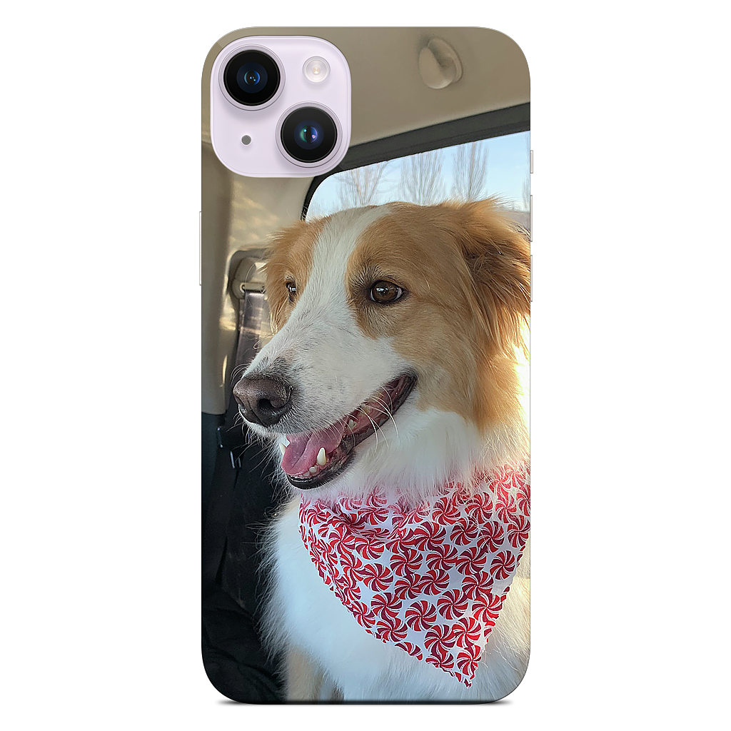 Custom iPhone Skin - 53f844dc