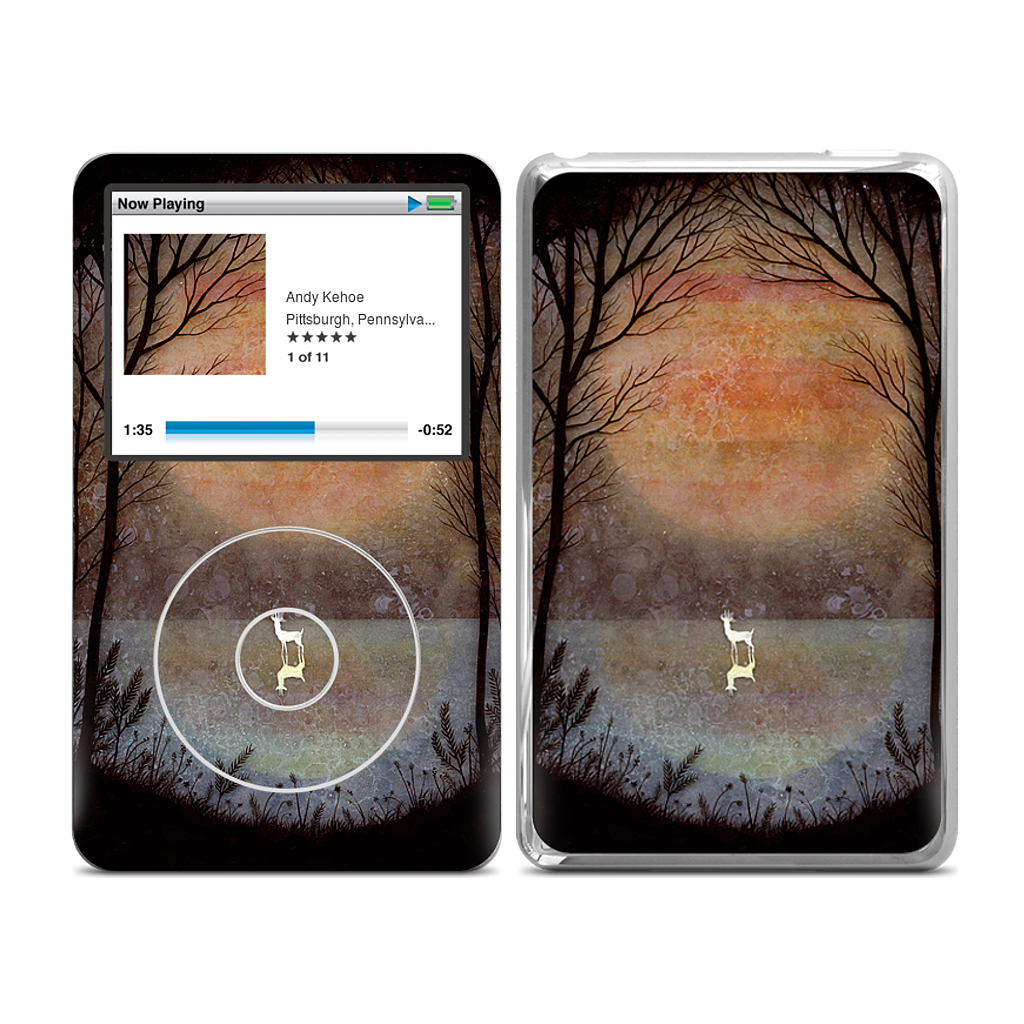 A Placid Pause iPod Skin