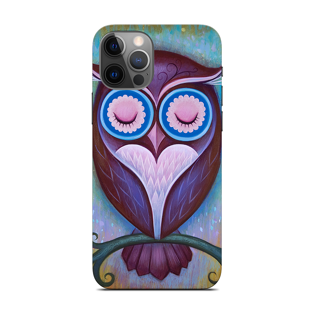 Sleepy Owl iPhone Skin