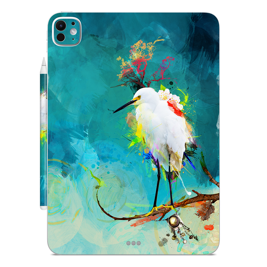 Evening Sun iPad Skin