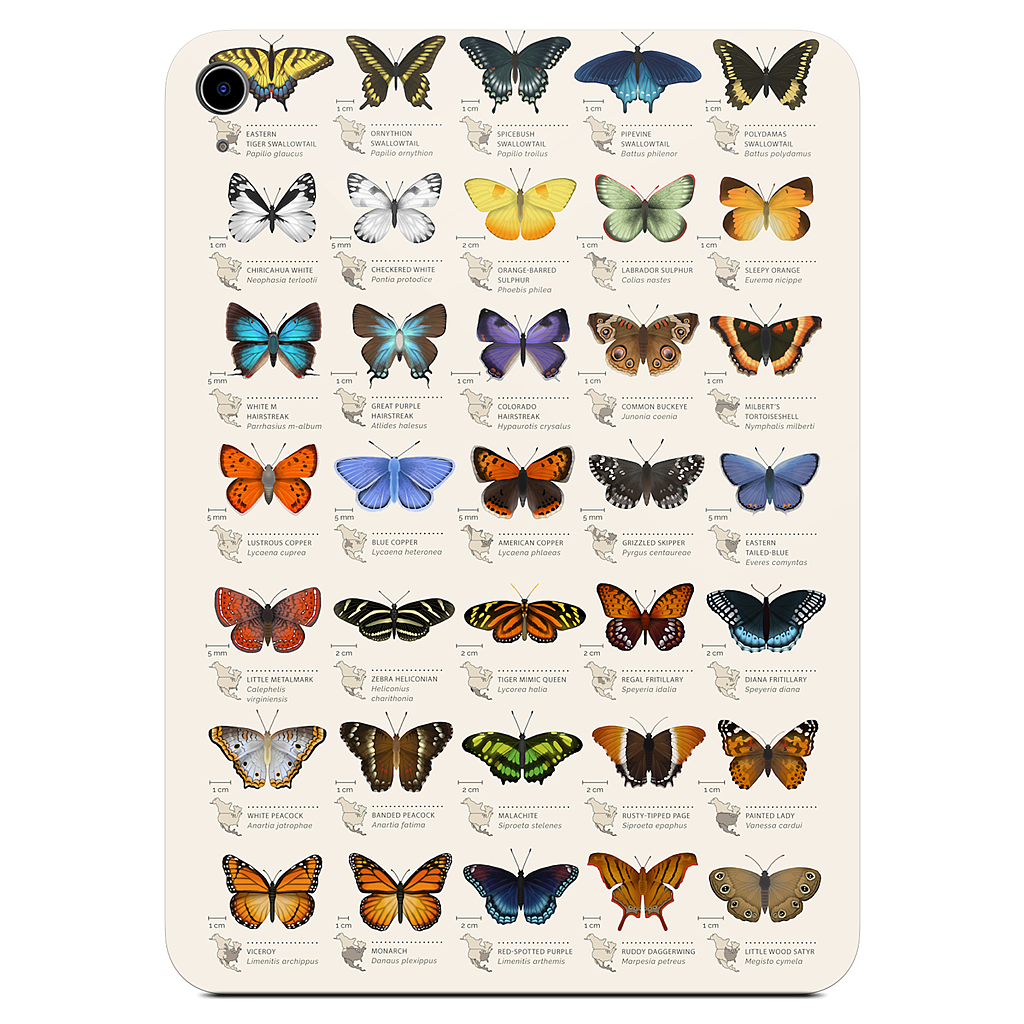 42 North American butterflies iPad Skin