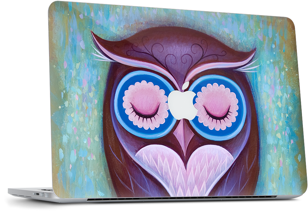 Sleepy Owl MacBook Skin