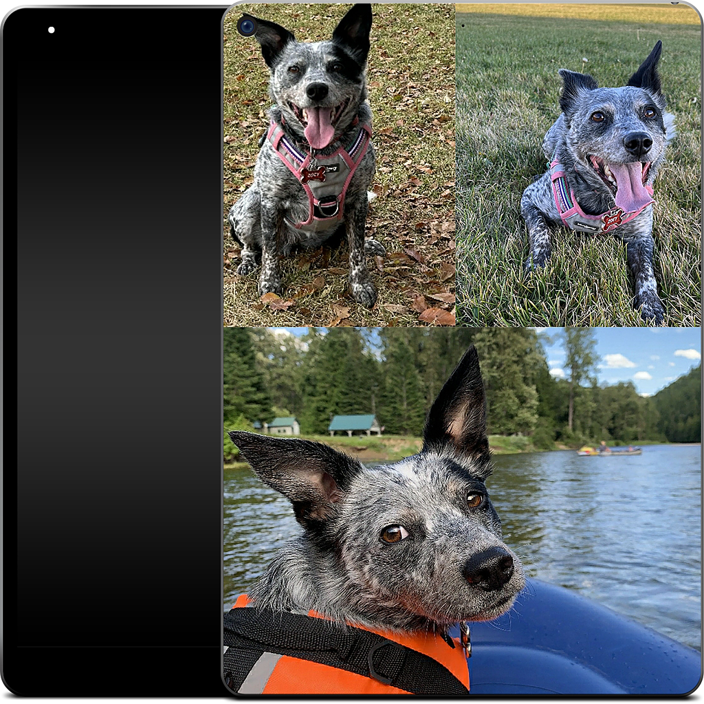 Custom iPad Skin - 0b0d1861