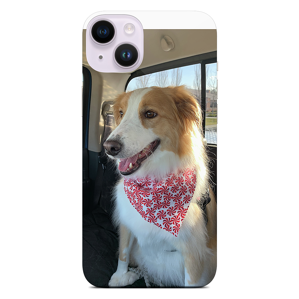 Custom iPhone Skin - 2377e7bc