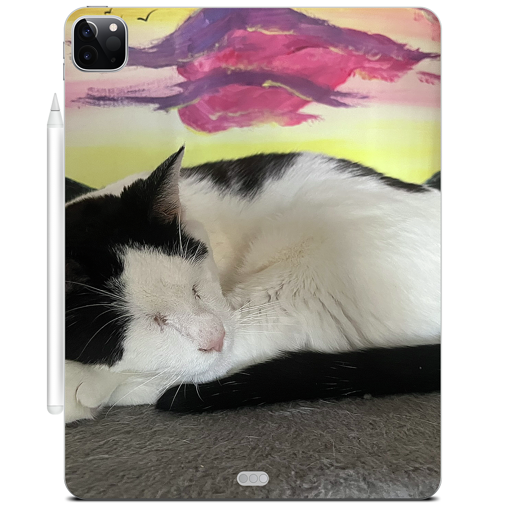 Custom iPad Skin - 18065dce