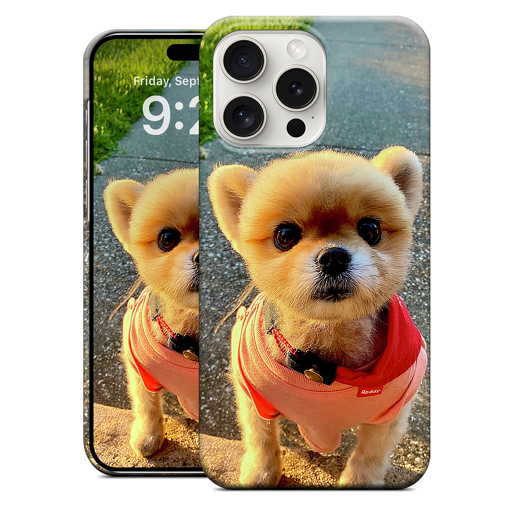 Custom iPhone Case - f1366596