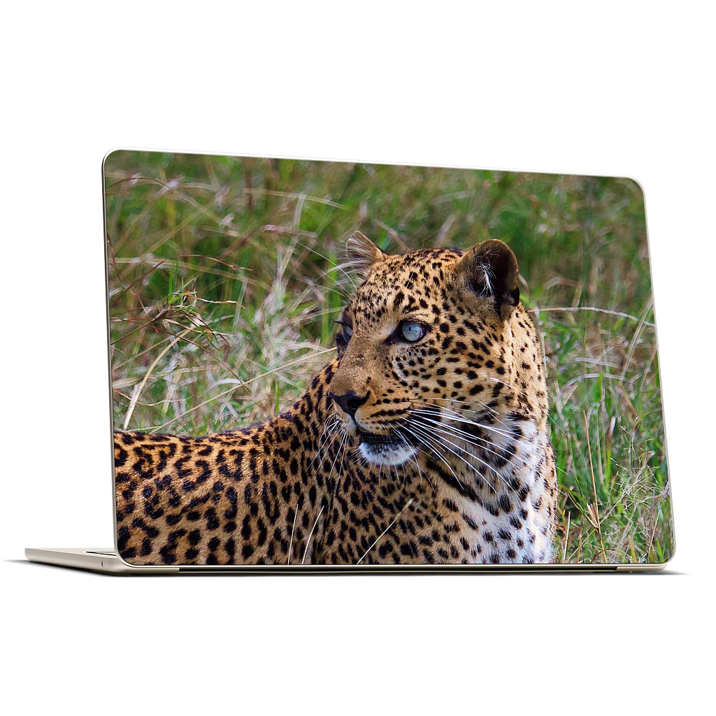 Custom MacBook Skin - 4b8a508f