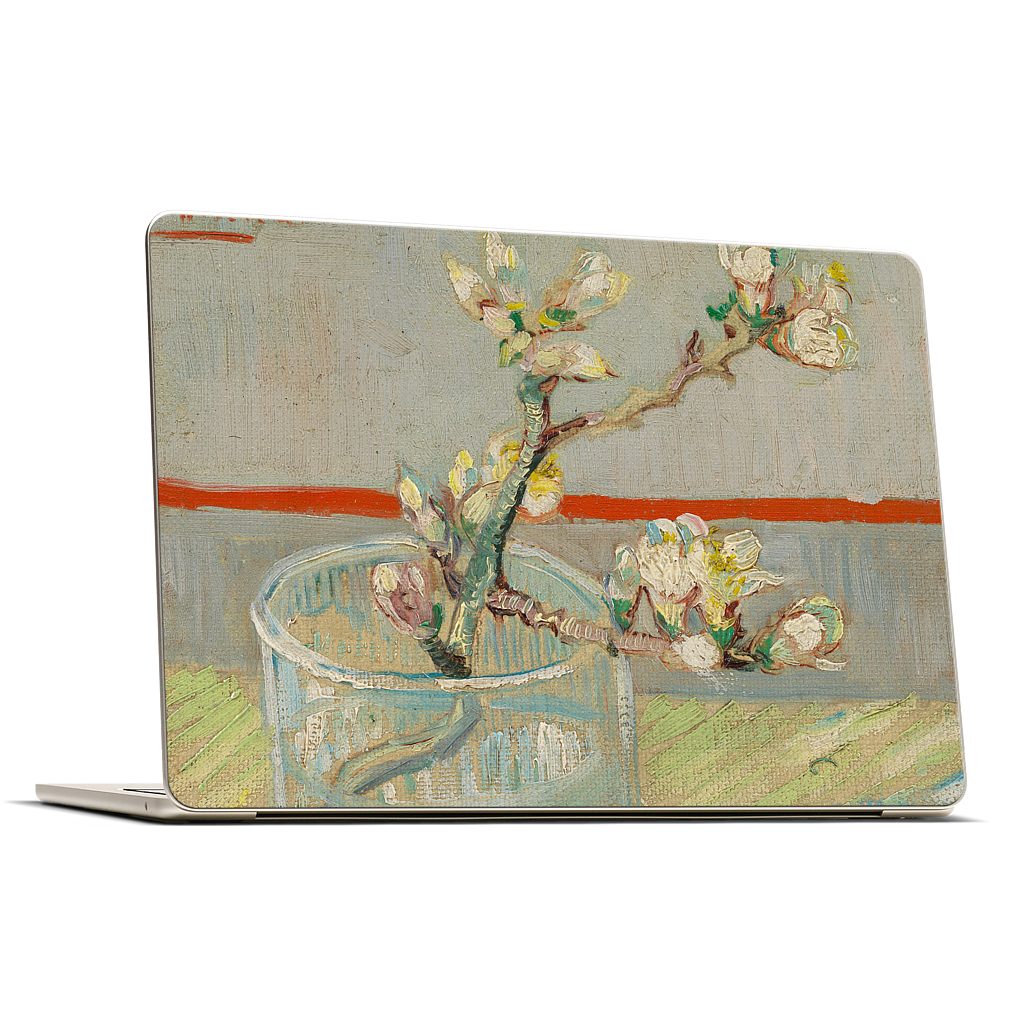 Spring of Flowering Almond in a Glass MacBook Skin