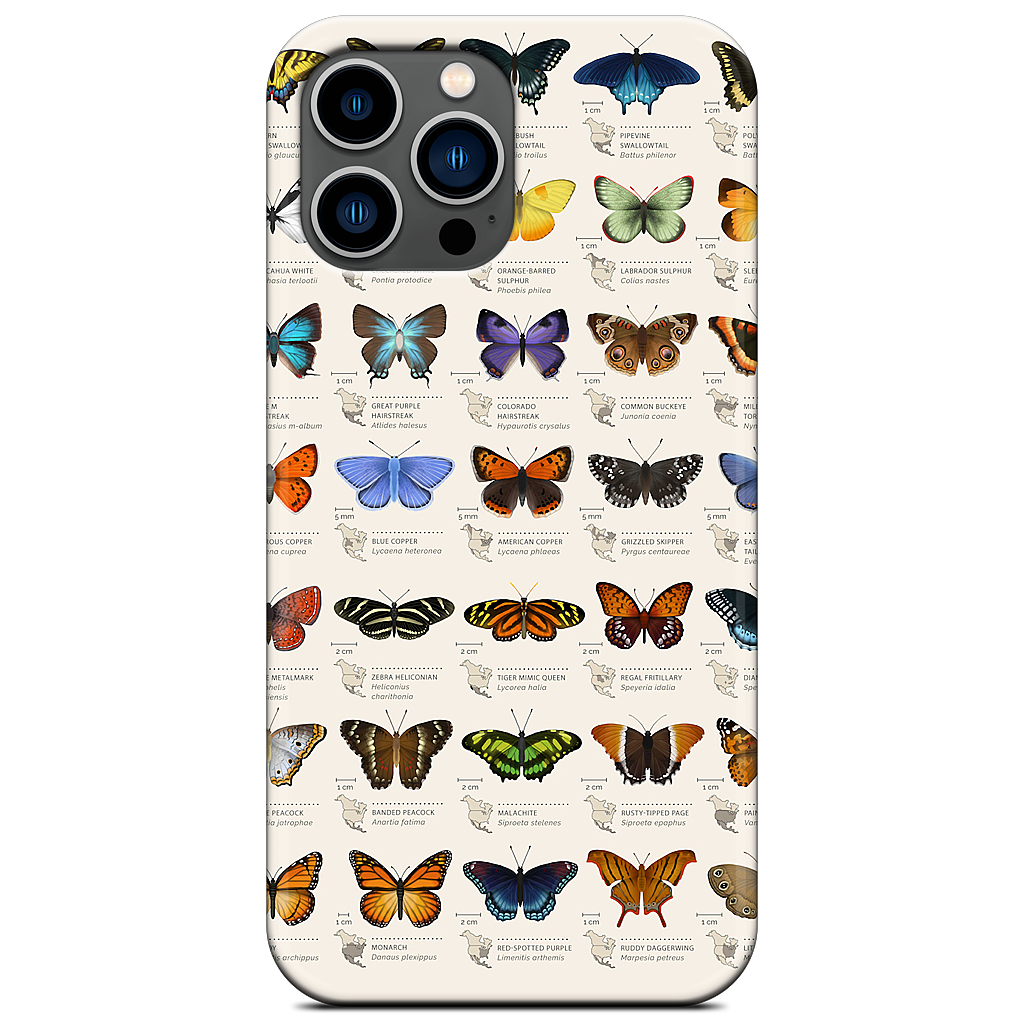 42 North American butterflies iPhone Case
