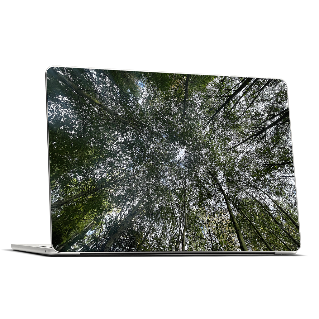Custom MacBook Skin - ee8c3fc7
