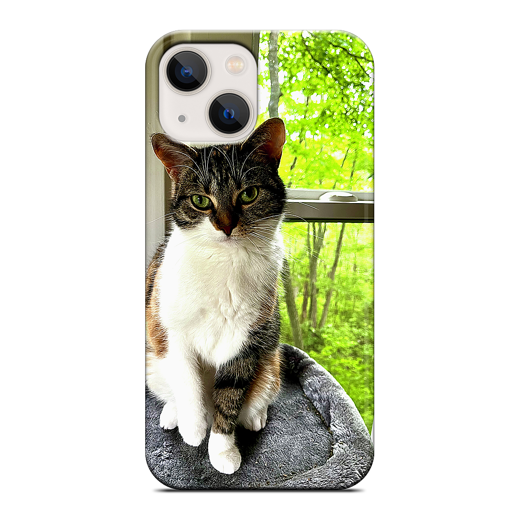 Custom iPhone Case - 6f0b8d34