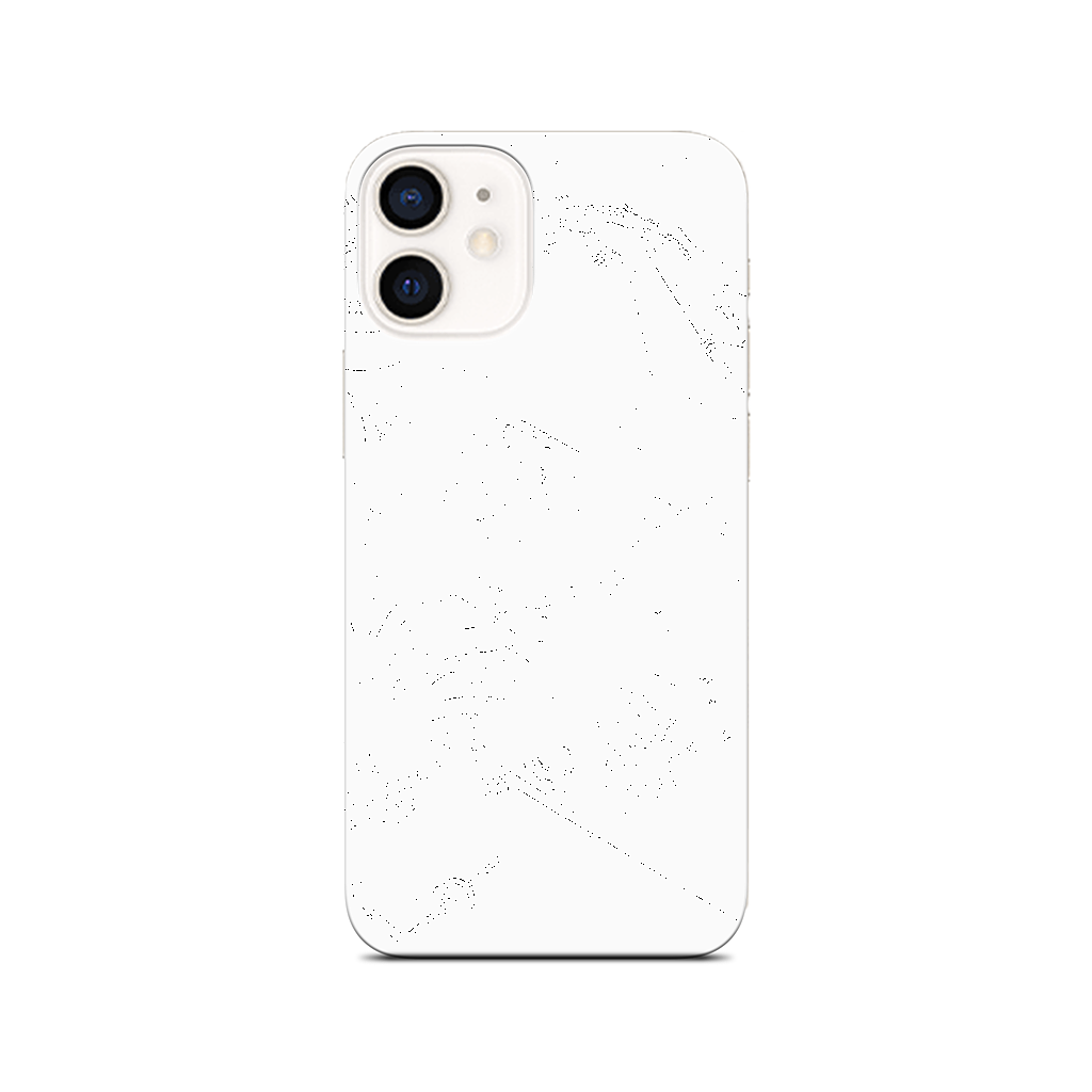 Reptiles iPhone Skin