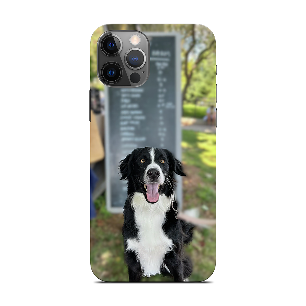 Custom iPhone Skin - 430bbc10