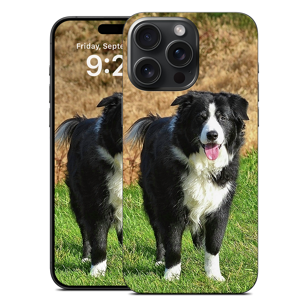 Custom iPhone Skin - 5c7c0f43