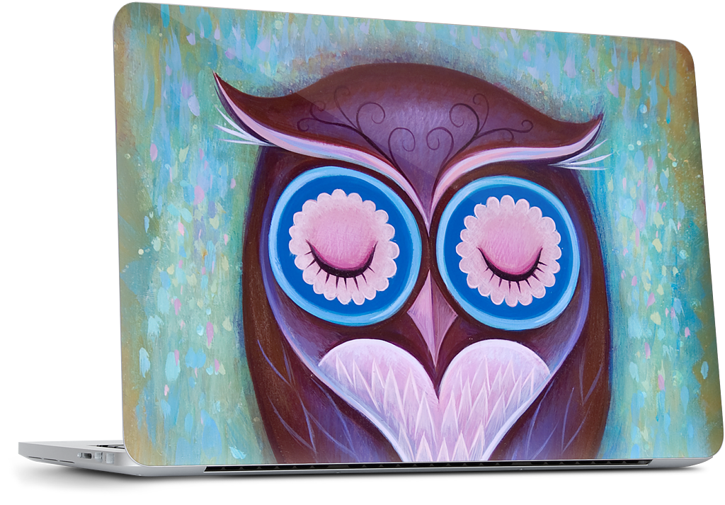 Sleepy Owl MacBook Skin