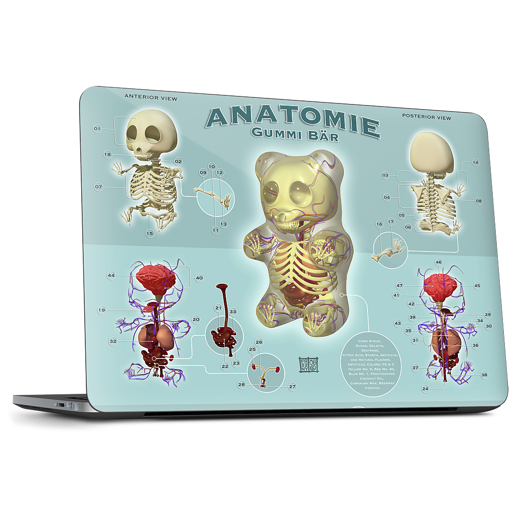 Gummi Anatomie Dell Laptop Skin